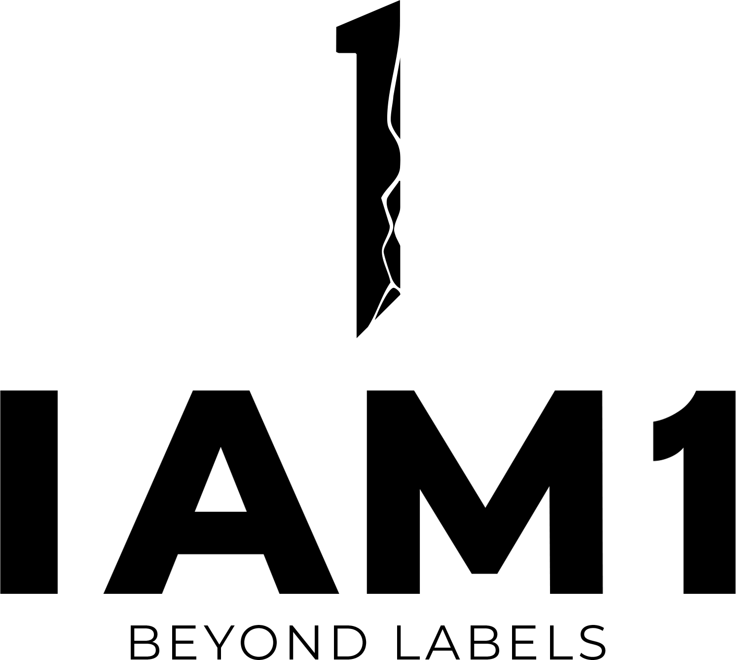 IAM1
